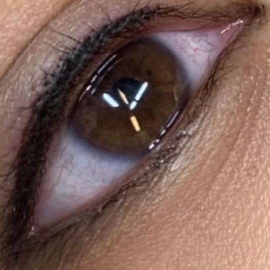 Eyeliner Perfection (6-8 weeks)