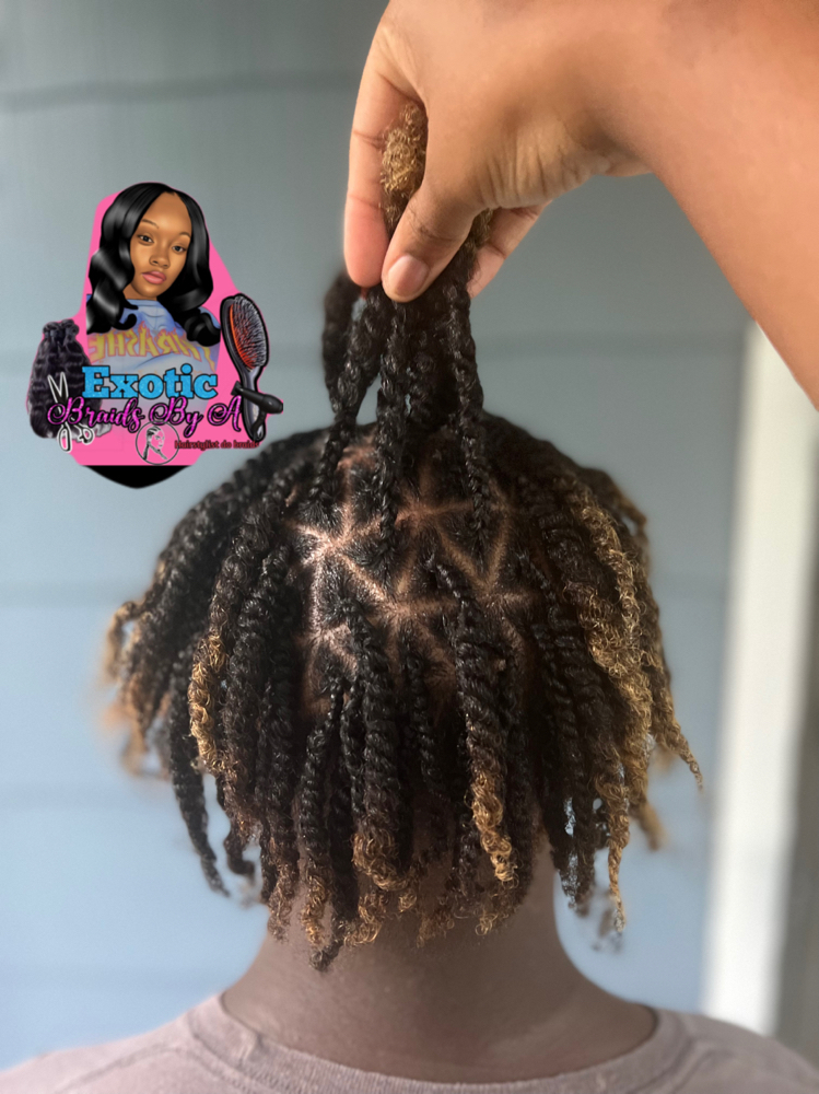 2 Strand Twists (Mens)