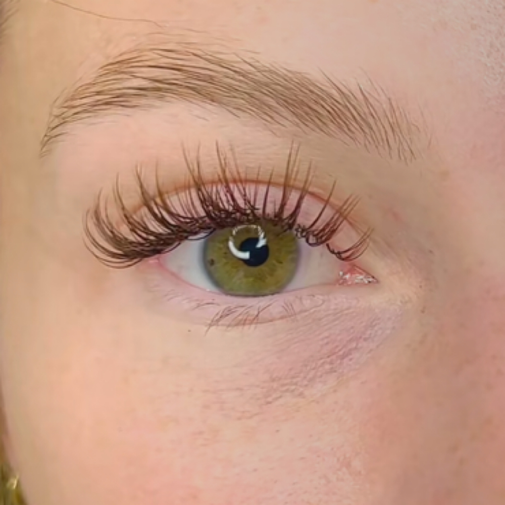 Brown Lashes Full Set at Rooted Studio in Manchester, CT