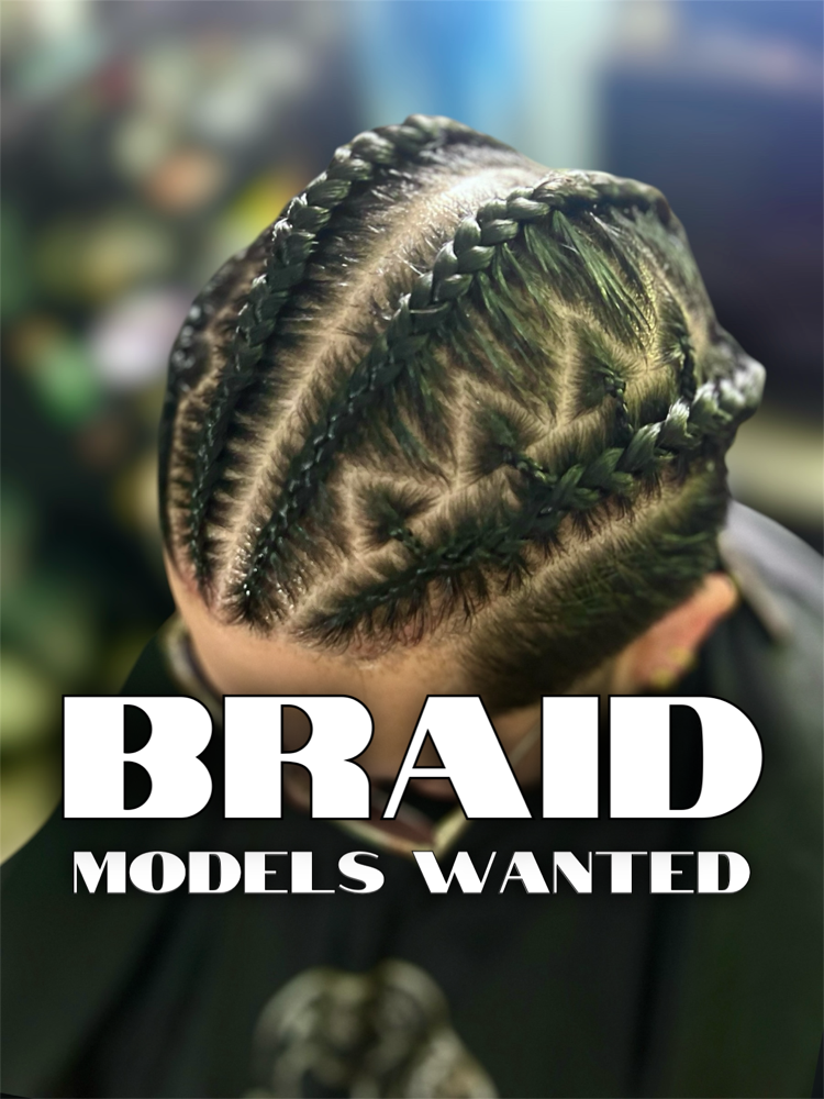 Braid Model