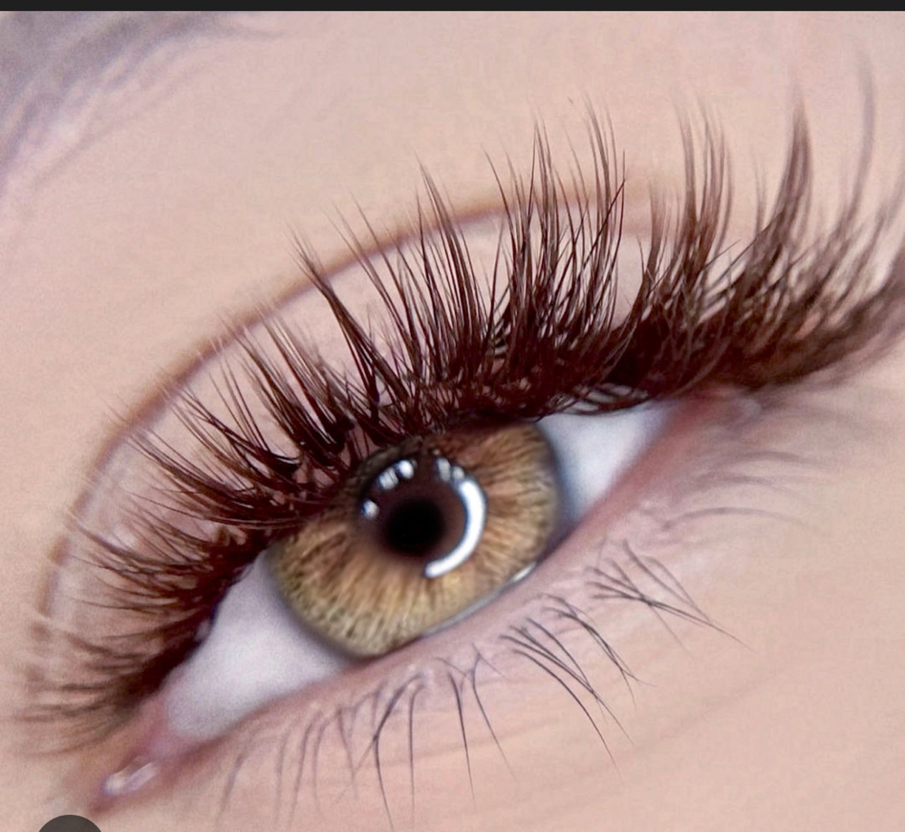 Brown Hybrid Full Set