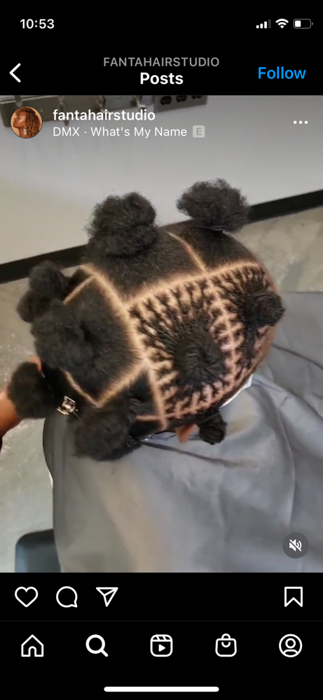 Microlocs / Sisterlocs