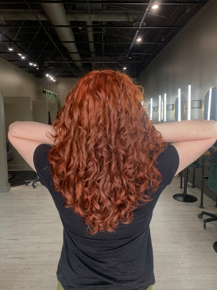 Root Touch Up