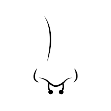 Septum Piercing