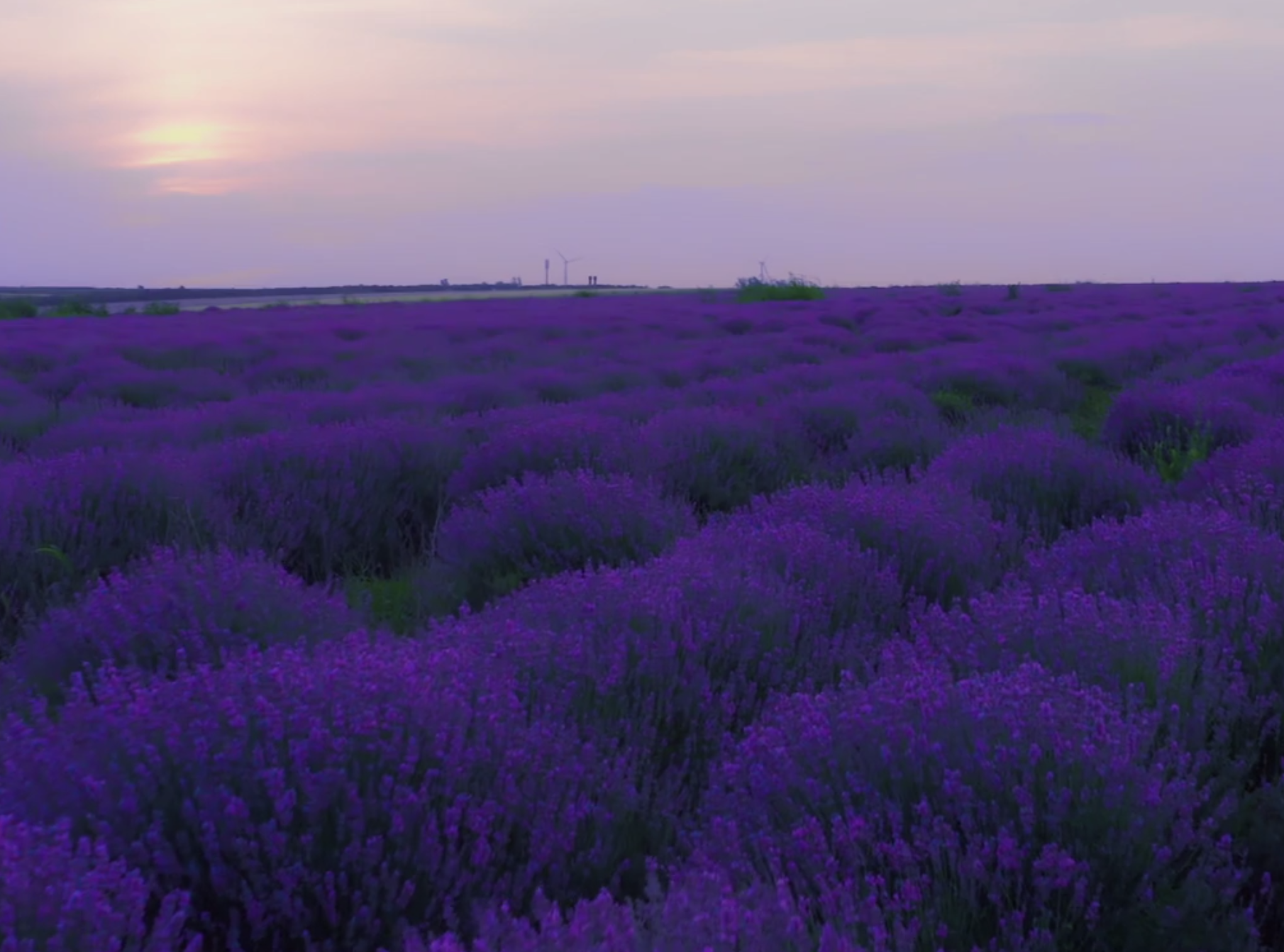Relaxation Immersions | Cancer Care
