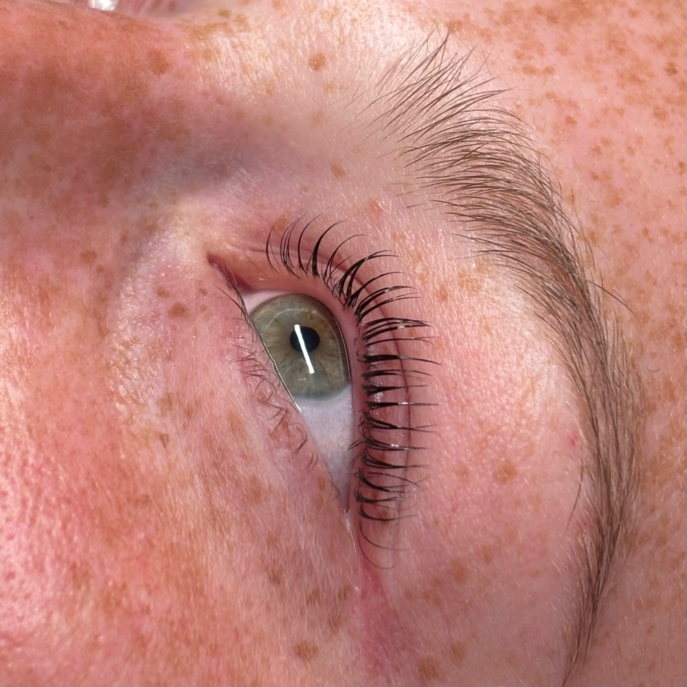 Lash Lift & Tint at Reset With Jo in Normal, IL