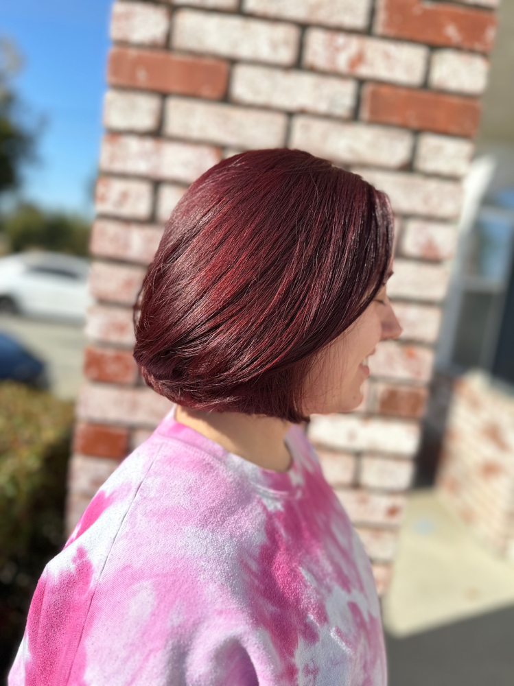 Root Touch Up - 4/6 weeks outgrowth at Beauty by Angeliina in Turlock, CA