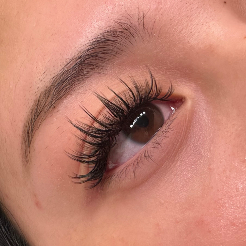 Specialty Lash Full Set at Dhaisy’s Beauty in Northglenn, CO