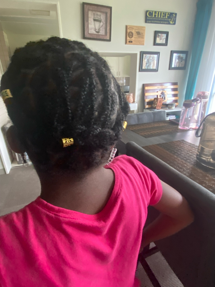 Natural Hair Plaits at Crown'd Confidence in Bremerton, WA