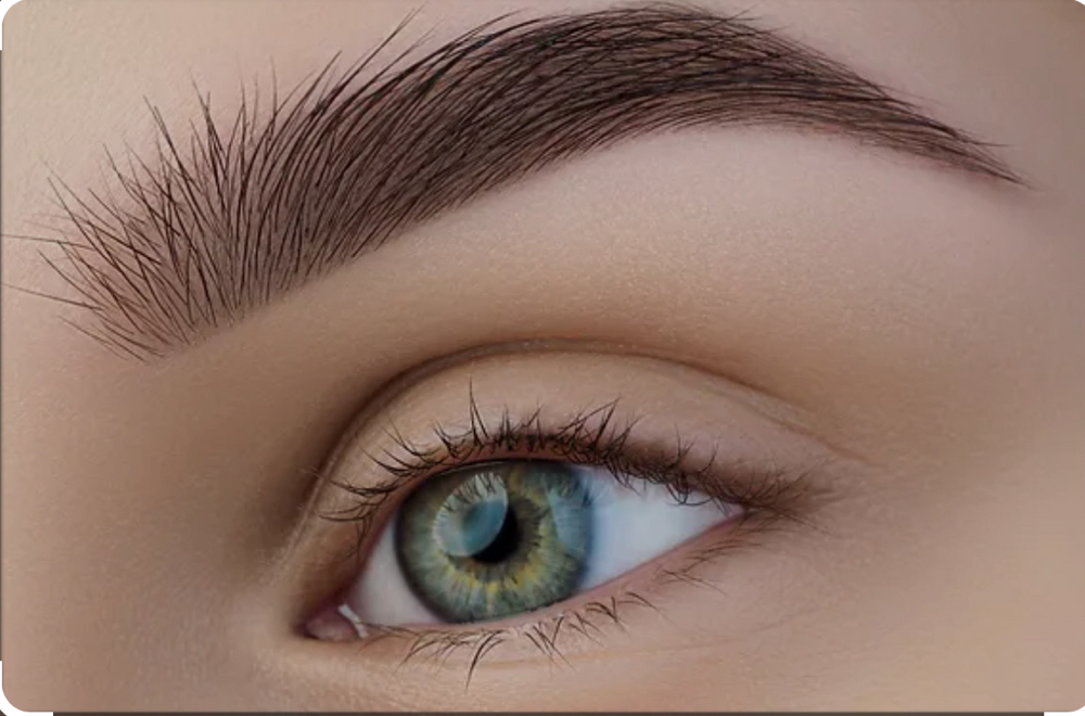 Eye Brows 1st and 2nd Session