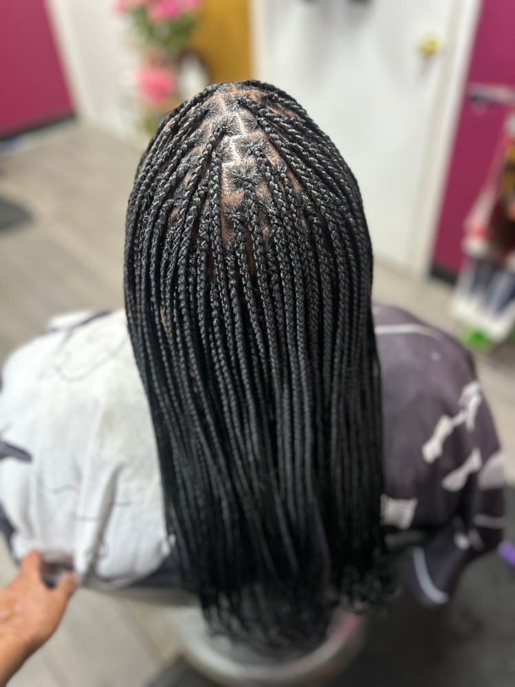 Small Knotless Braids (midback)