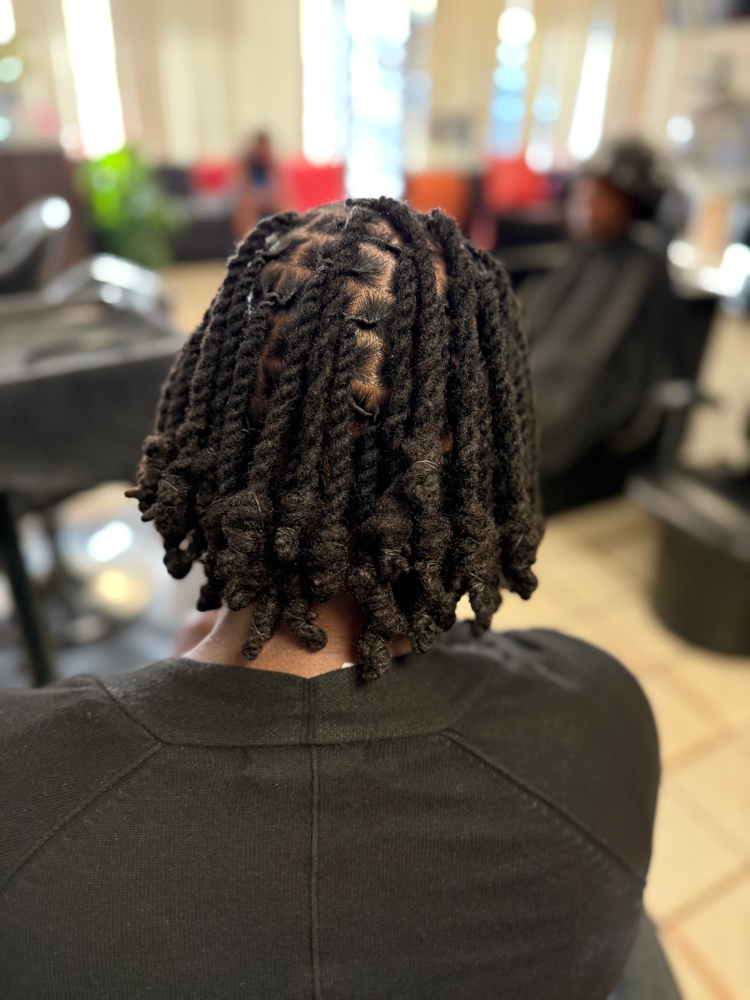Locs retwist with Locbob