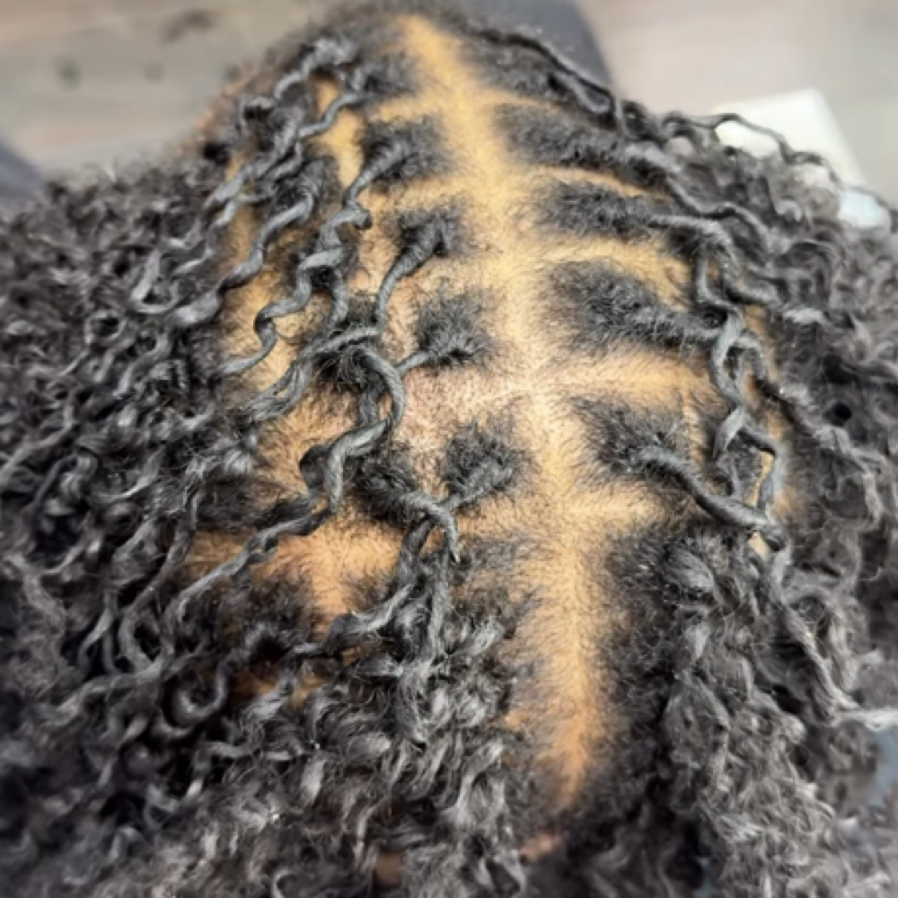 Braid TAKE DOWN at Chela Cuts in Raleigh, NC