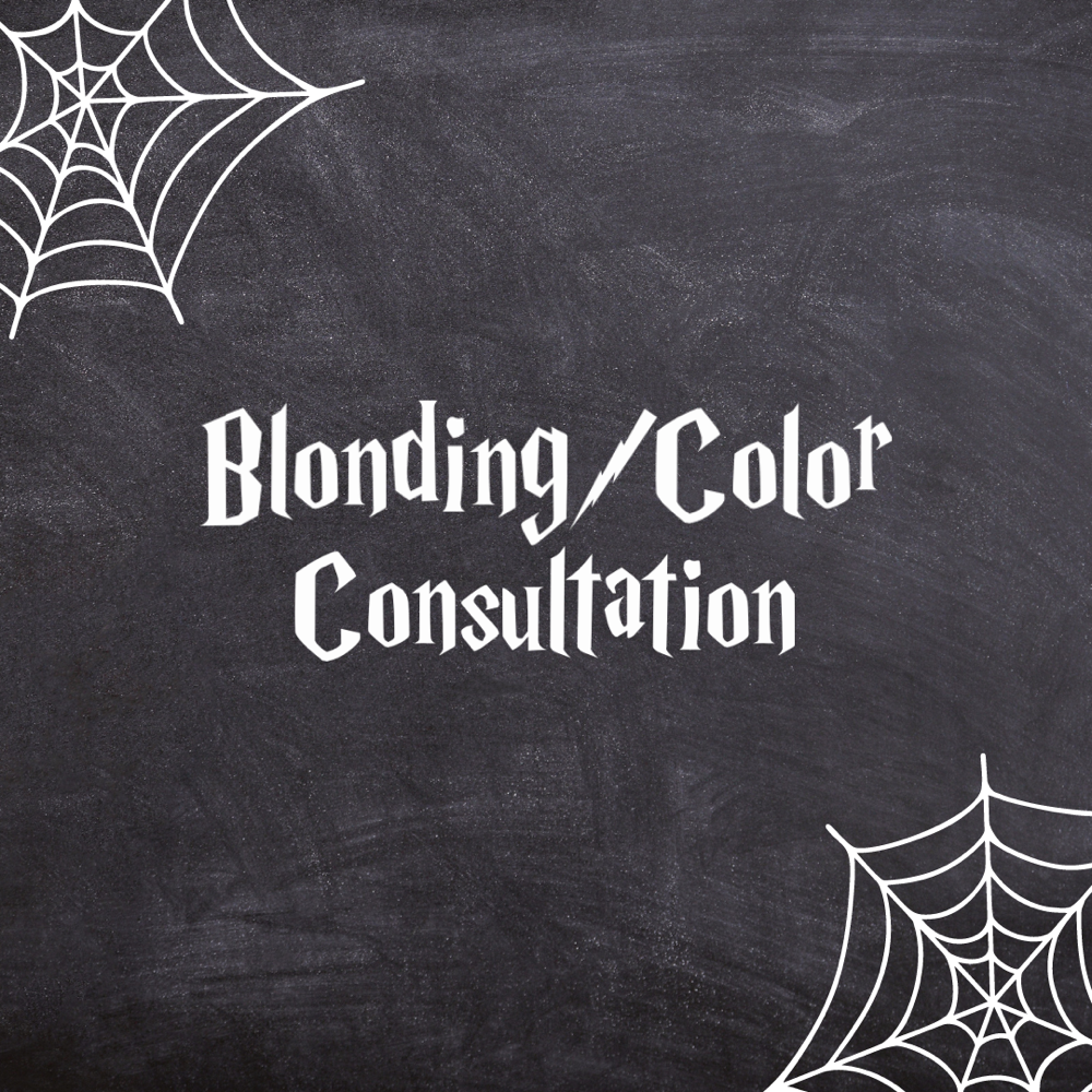 Blonding/Color Consultion