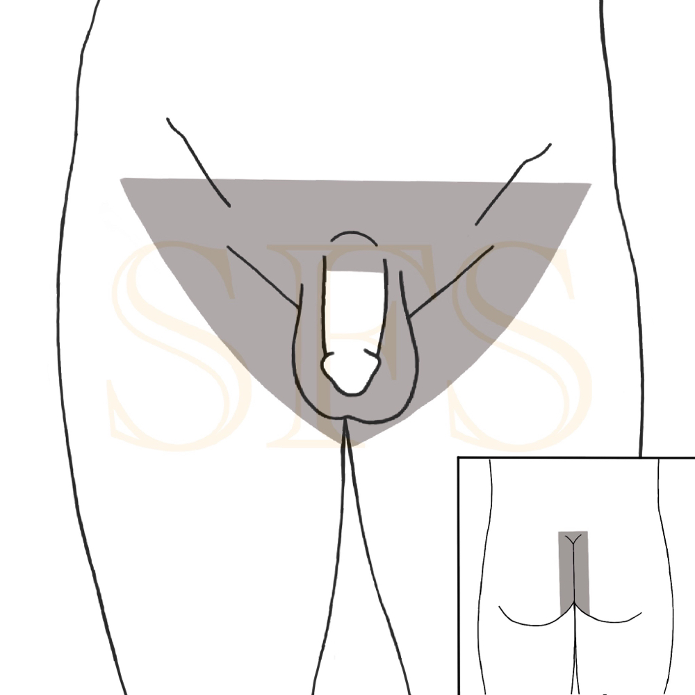 Brazillian Wax (Male Anatomy)