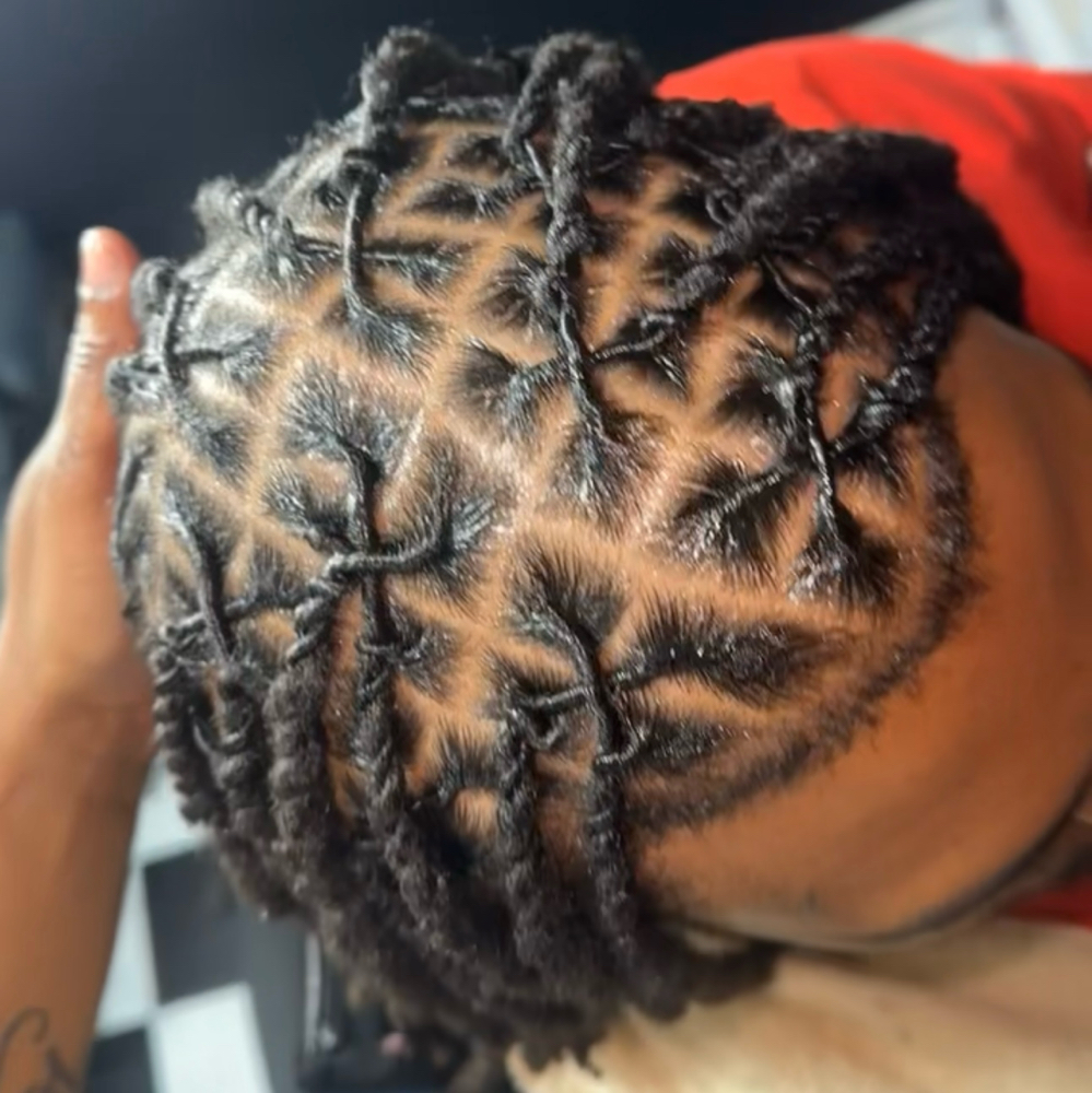 Two Strand Twists