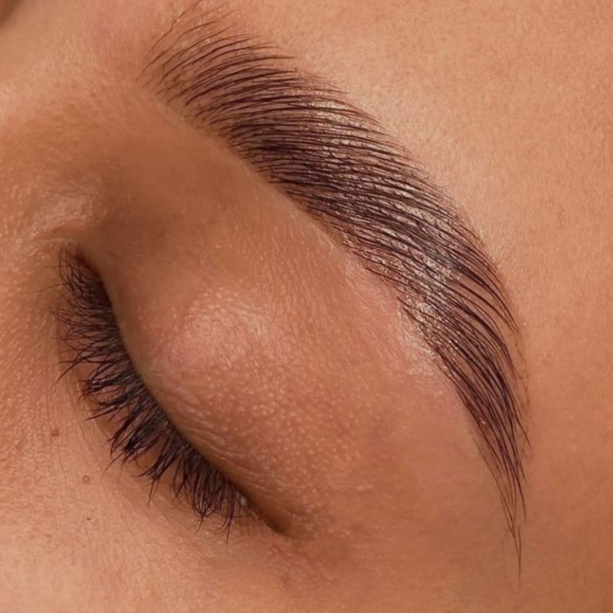 Virtual Brow Consultation at Yaz The Beauty Pro in Chicago, IL