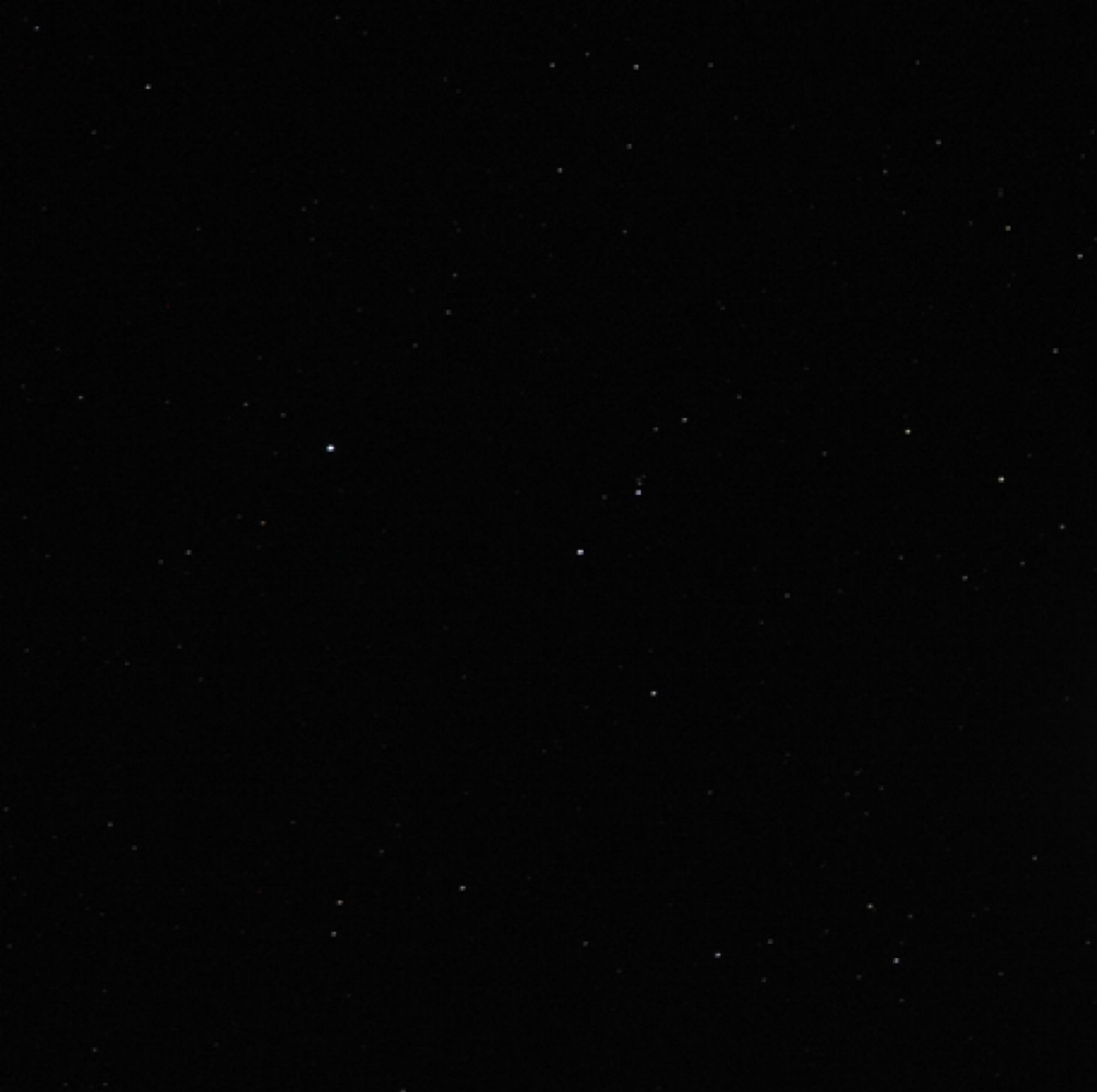 Brazilian at Wax & Wane in Huntsville, AL