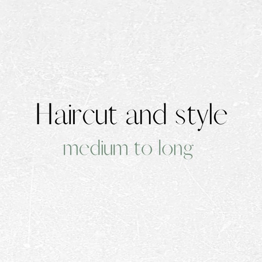 Haircut And Style (med/long)