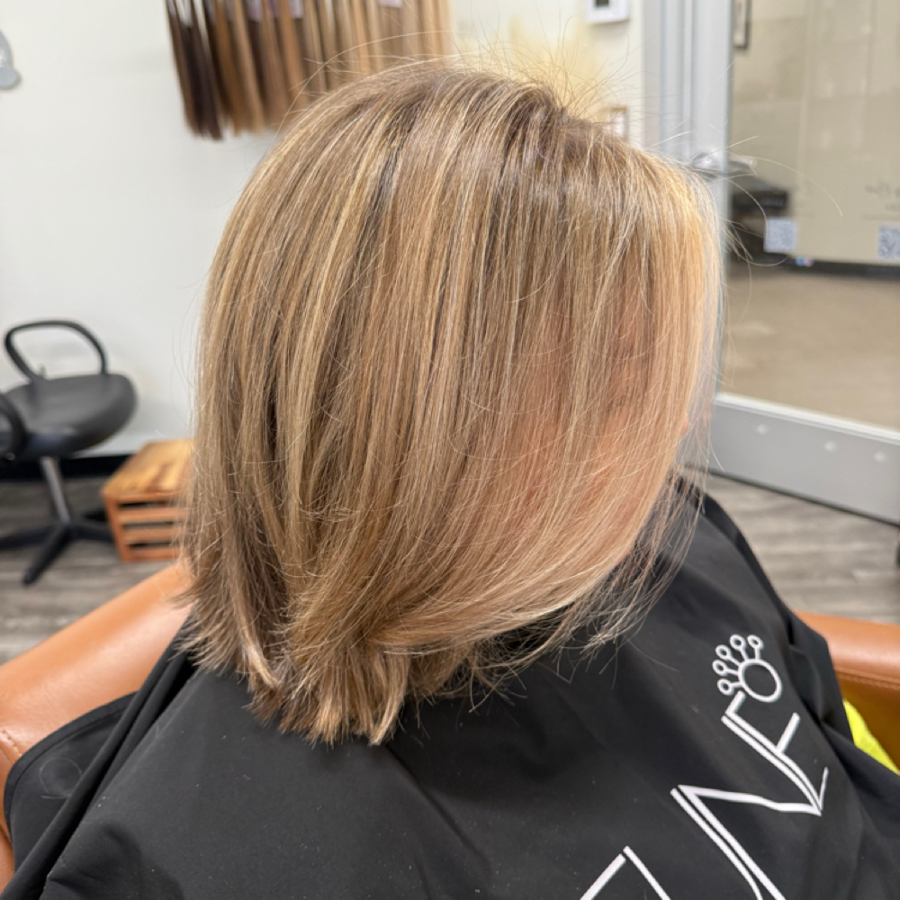 Mini Blonding at Kamryn Miller in Henrico, VA