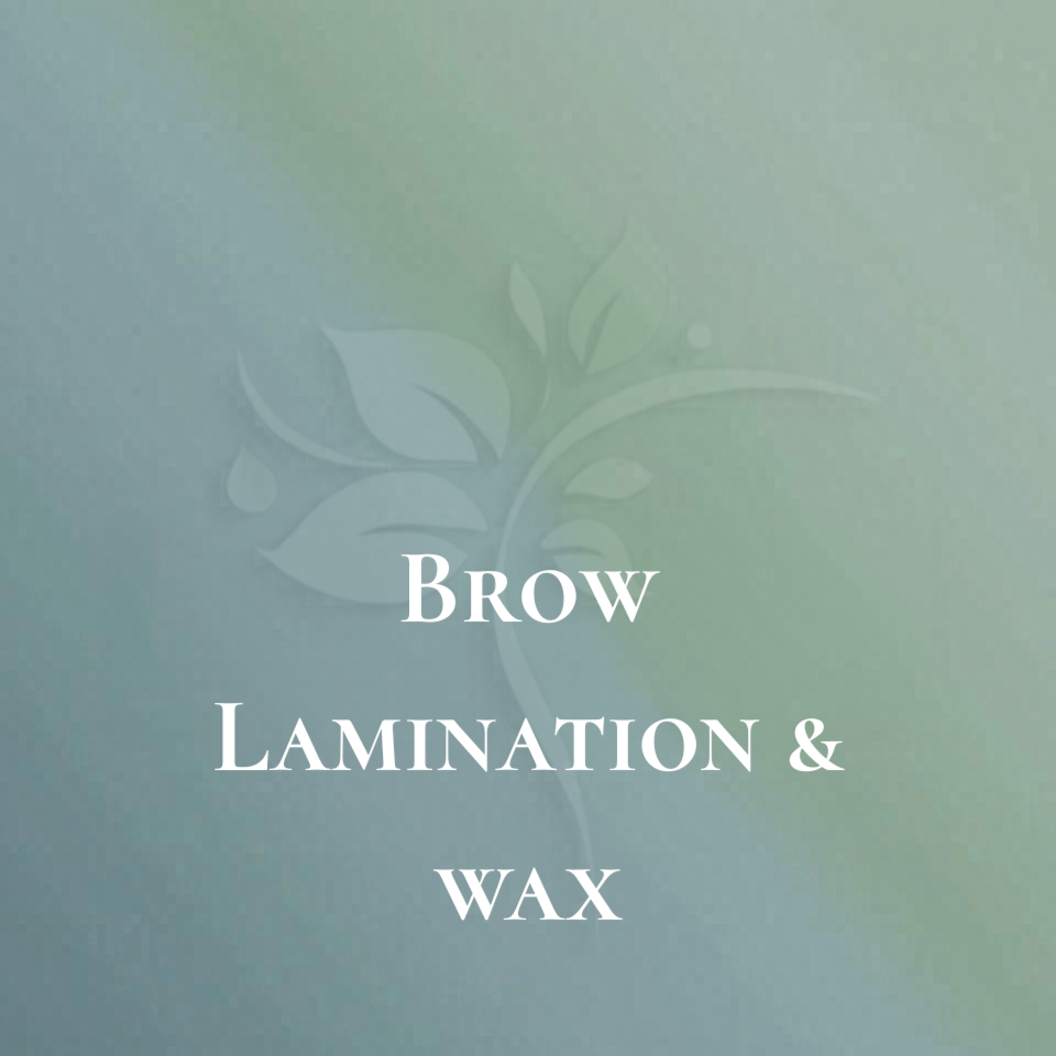 Brow Lamination & Wax at Elysian Esthetics Spa in Loganville, GA