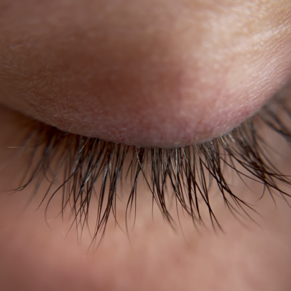 Lash Extensions - Removal at The Wax & Lash Moughal in Scottsdale, AZ