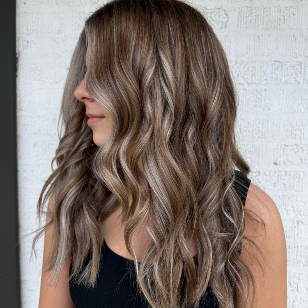 Dimensional Full HL + Haircut at Color me Vivid by Ashlyn in Calera, AL
