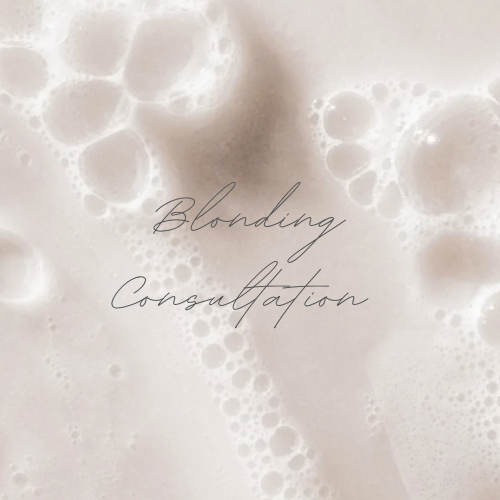 Blonding Consultation