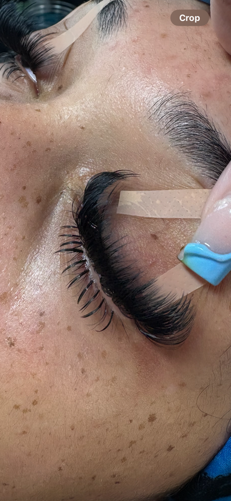 Bottom lashes