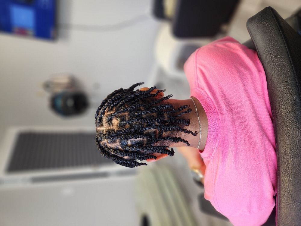 Two Strand Twist