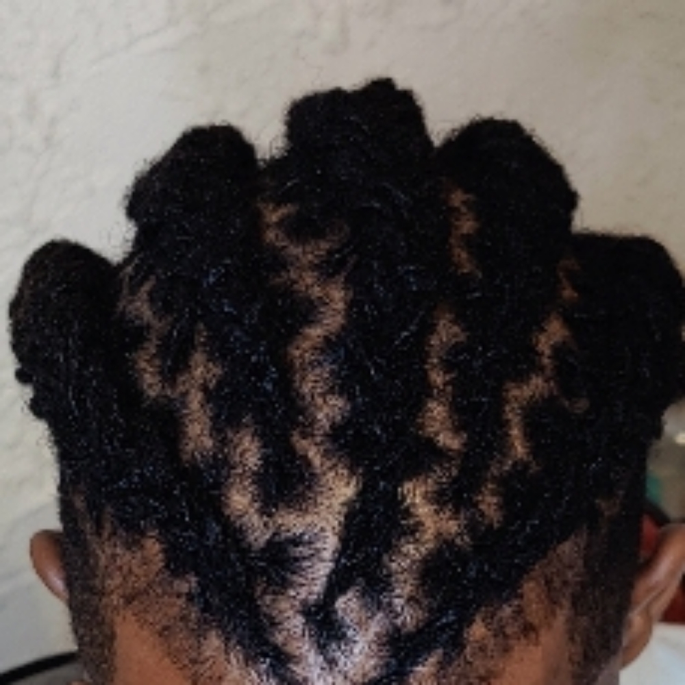 Loc Freestyle at Twistykinks & Twist of Elegance Esthetics in Jacksonville, AR