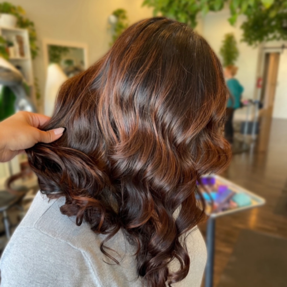 Gloss/Toner at Hair by Alexandra in San Diego, CA