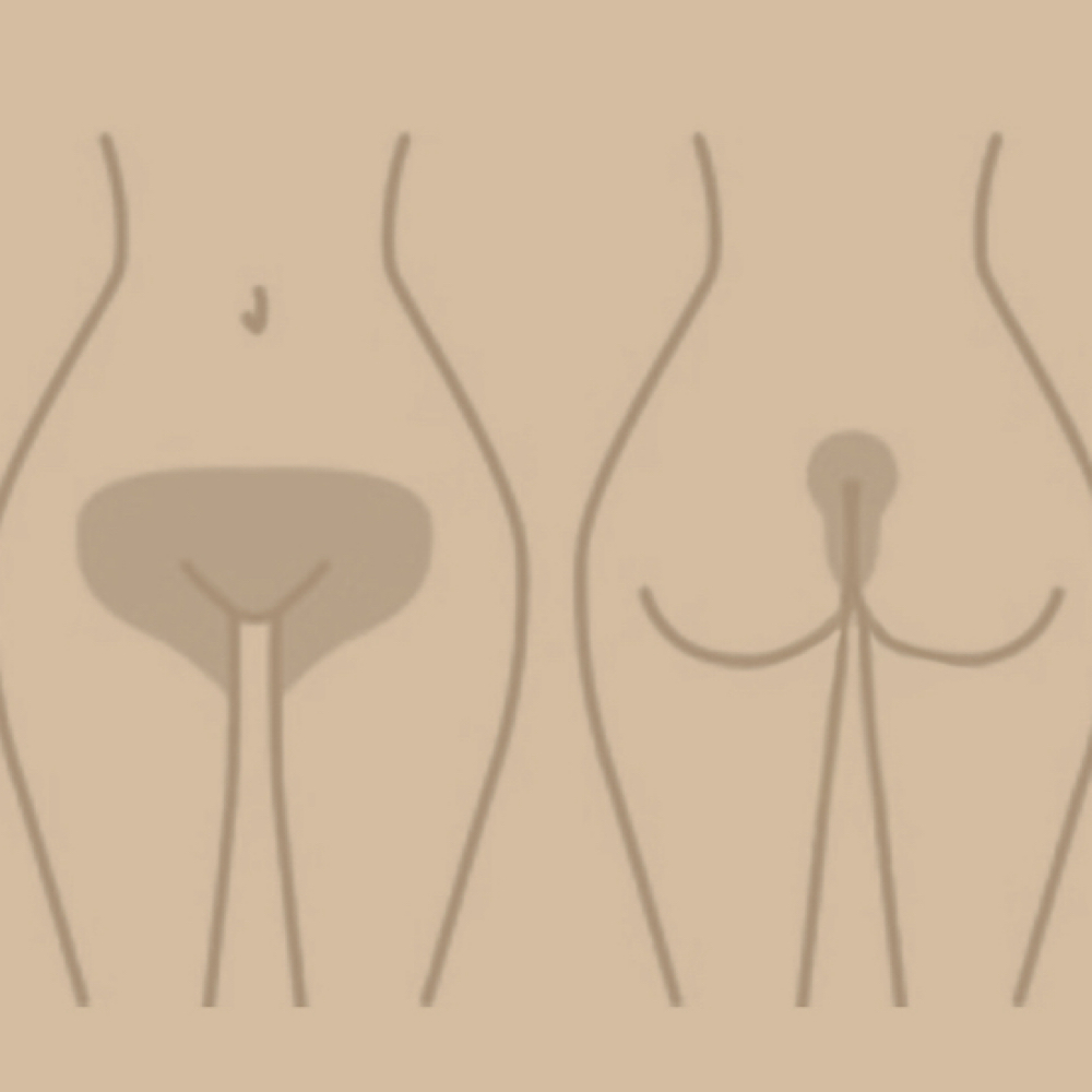 Brazilian Wax at Bloom Beauty Bar LLC in Houston, TX