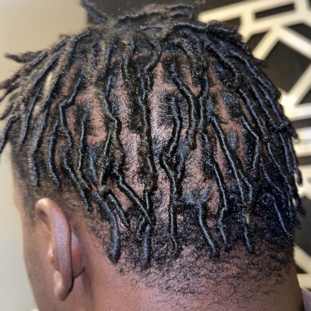 Starter Locs at The Gold Process in Arlington, TX