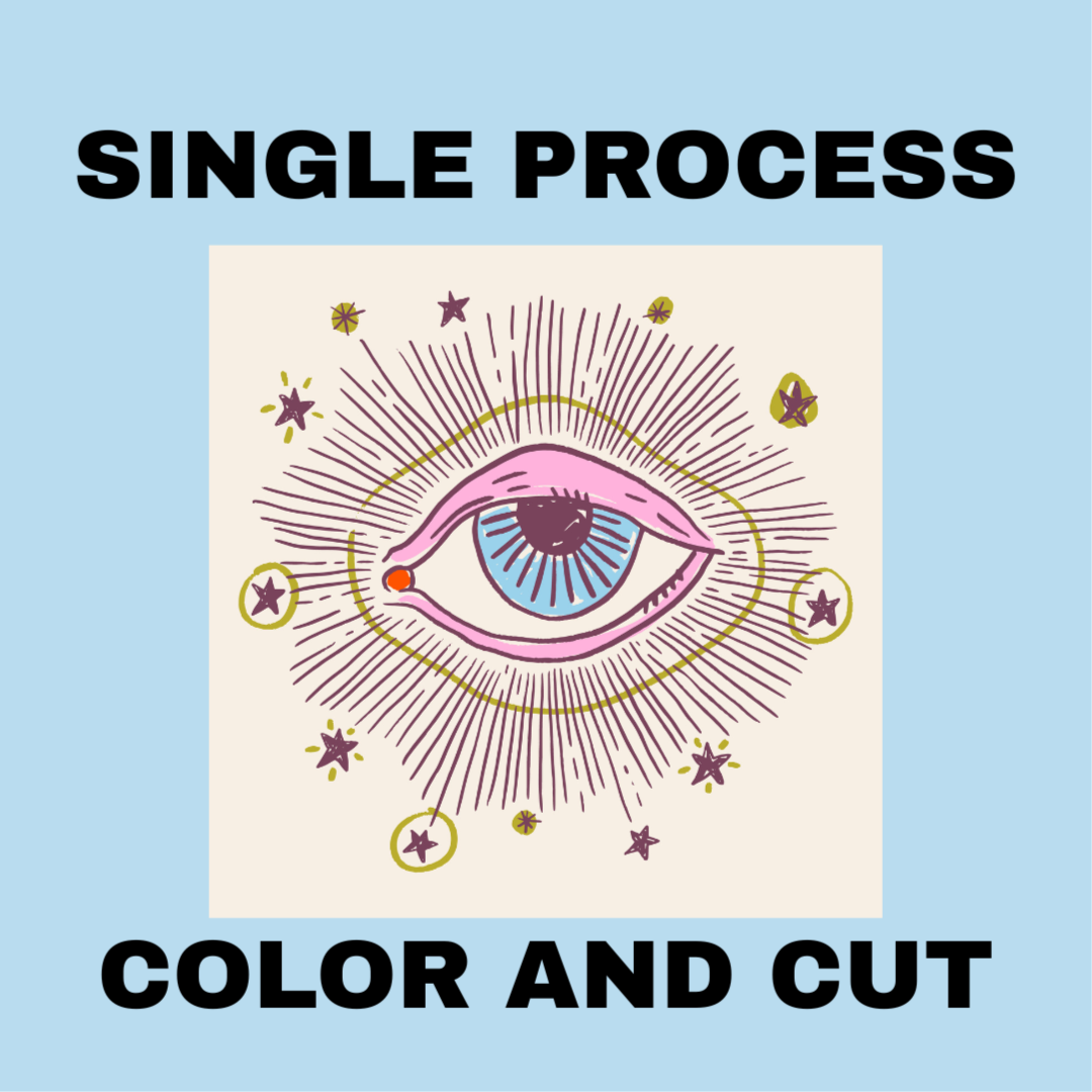 Single Process Color + Cut at ACE Collective Salon+Wellness in Pittsburgh, PA