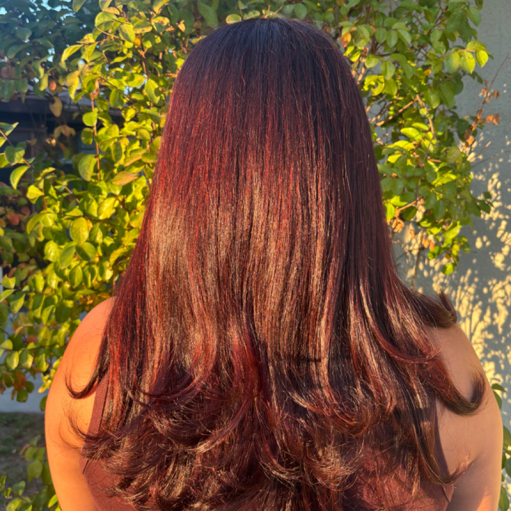 Root Touch Up + Gloss at Ladybug Cuts in Mission Hills, CA