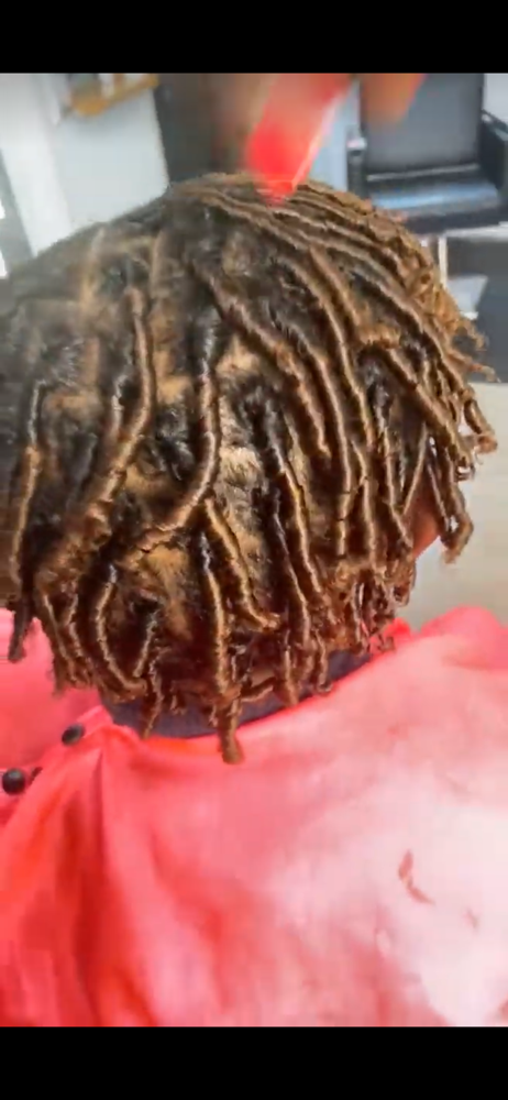 Coil Starter Locs