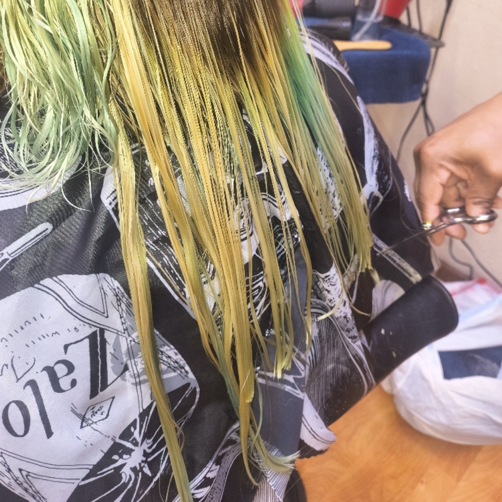 Haircut(Shears) at Elegant Disclosure Hair Studio in Blaine, MN