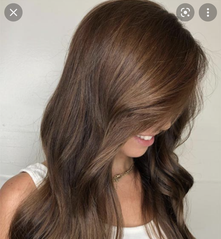 Base/Root Color