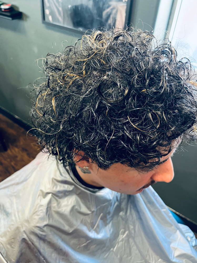 Highlights
