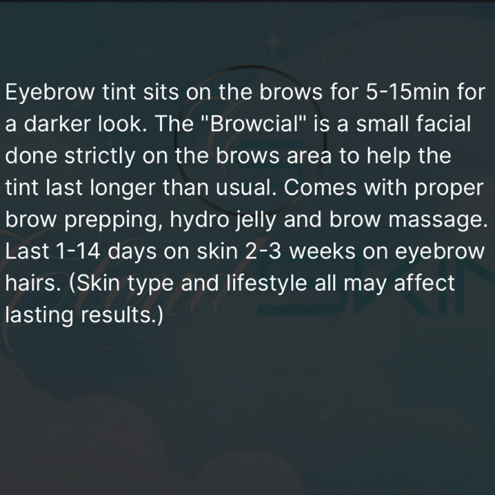 Sculpted Brow Tint + Browcial at Cloud Skin Esthetics LLC. in Redford, MI