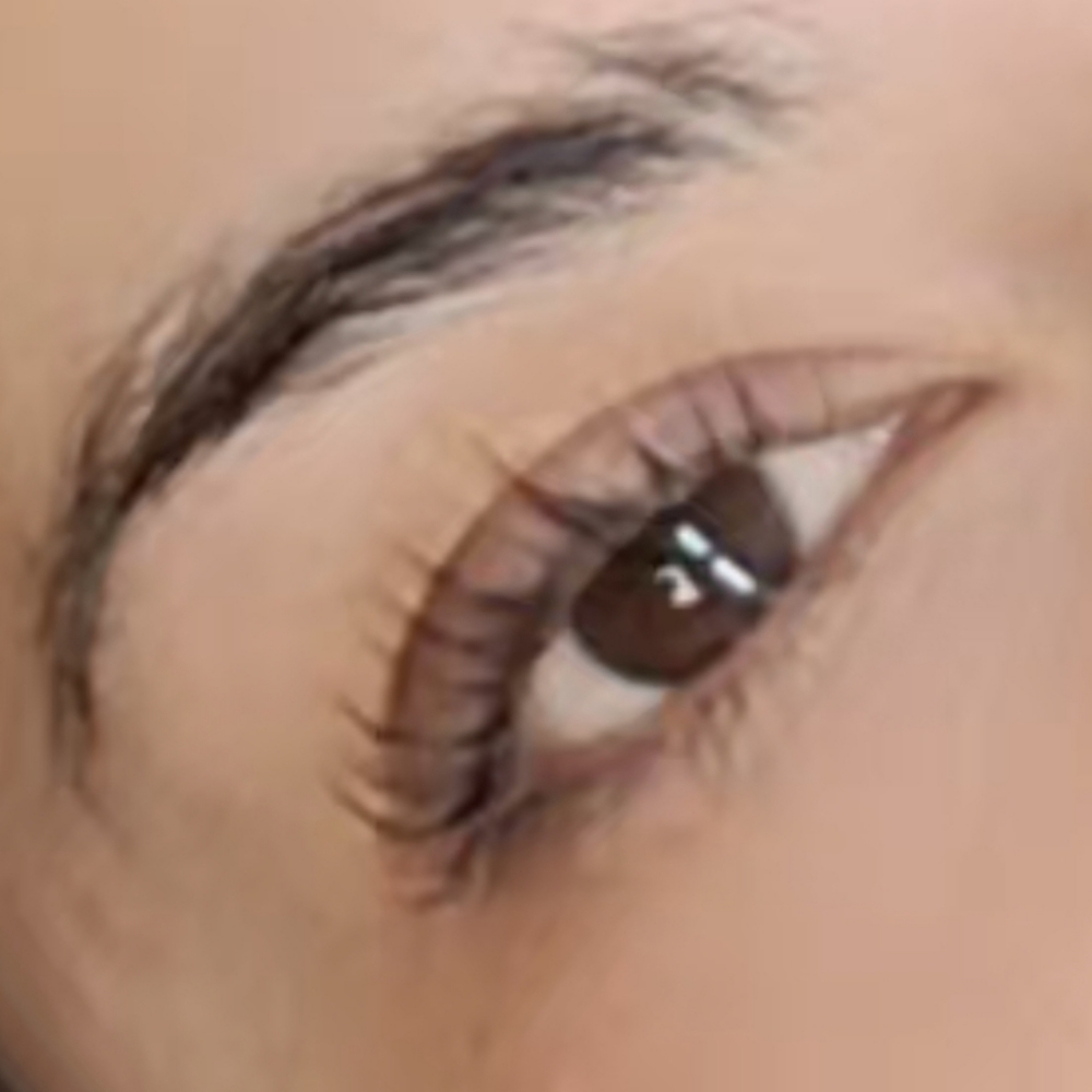 Korean Lash Lift & Tint at SUBLIME BEAUTY STUDIO in MONTEREY, CA