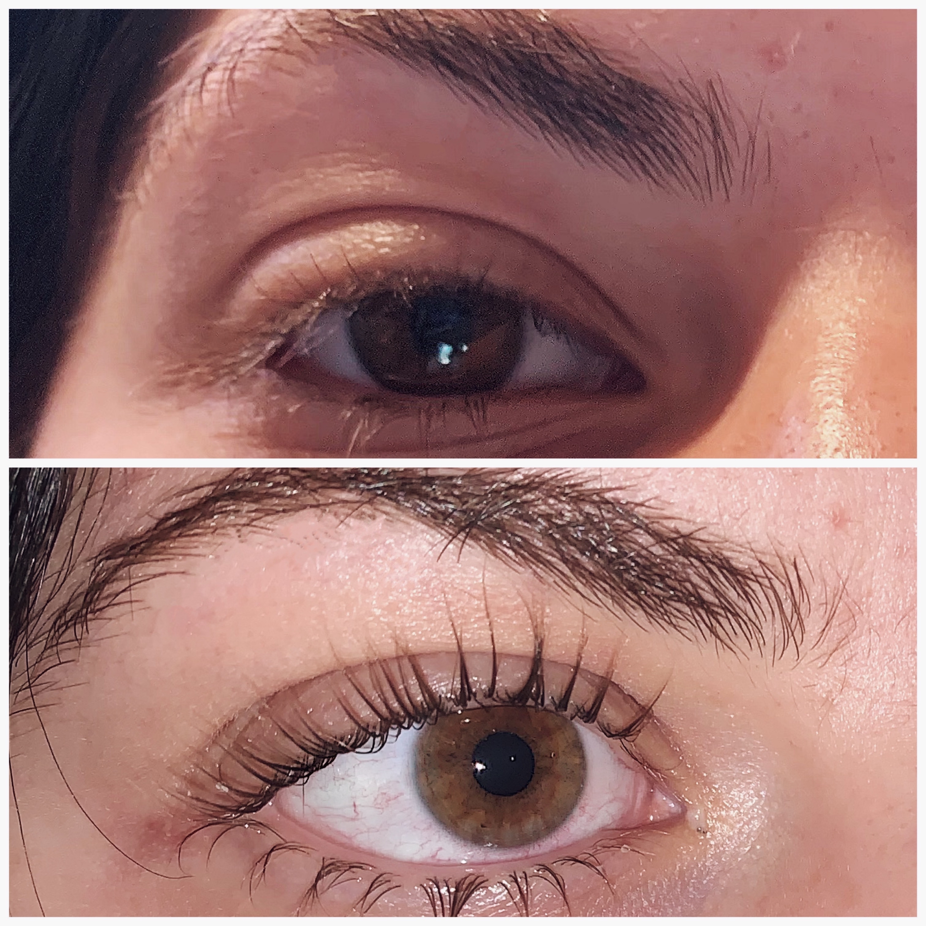 Lash Lift and Tint