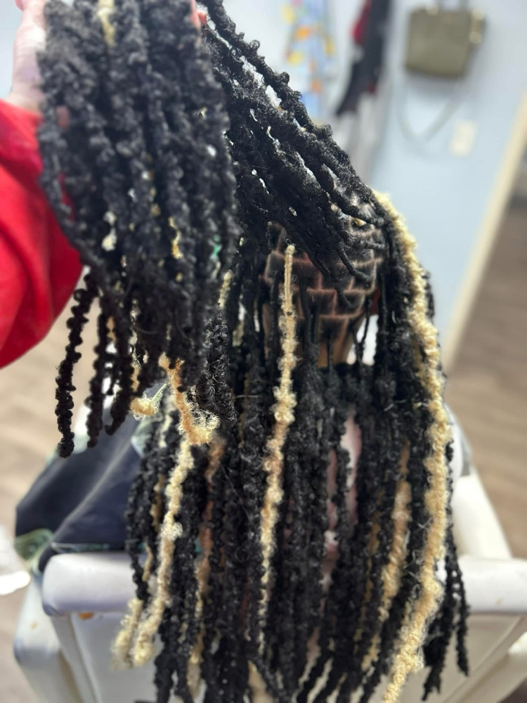 Small Butterfly Locs Midback