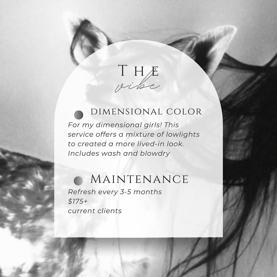 The Vibe (Dimesional Color)