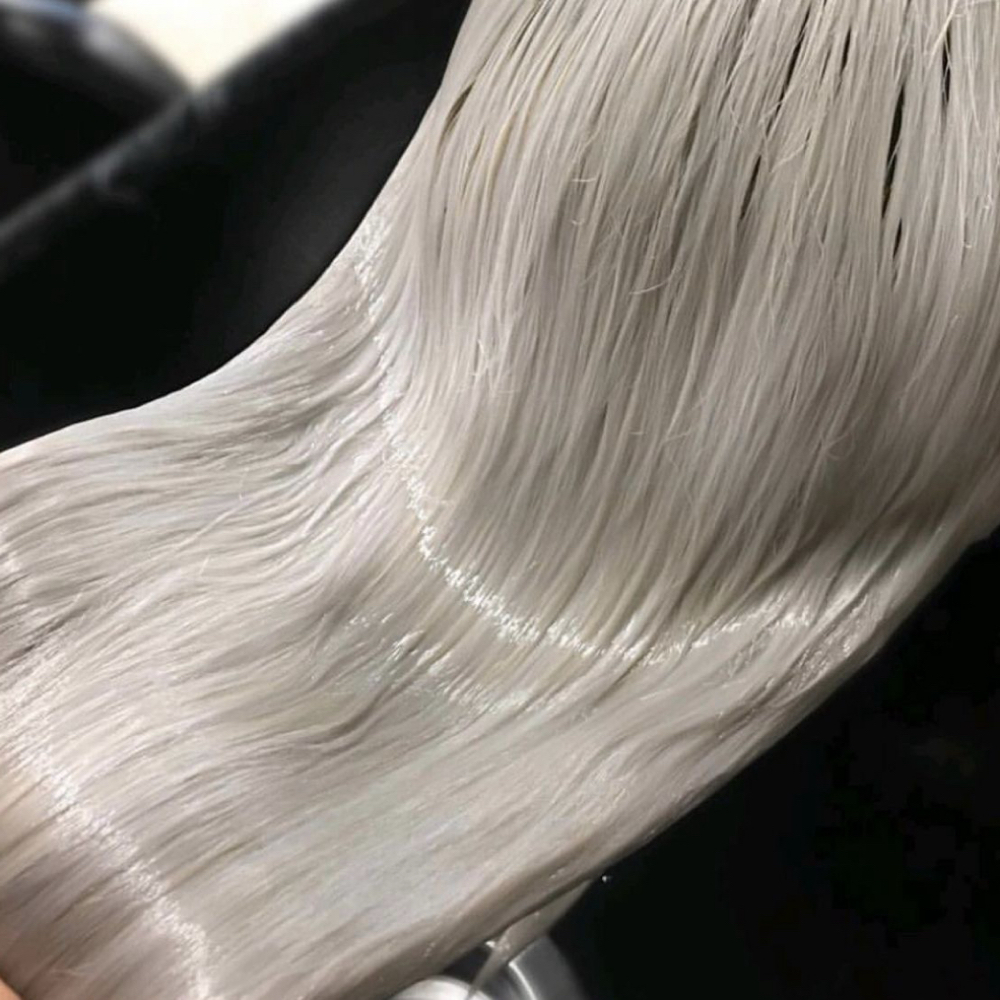 The Platinum Card Transformation. at The Studio-Holly Rae Hair in Greensboro, NC