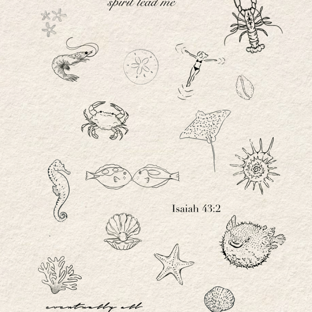 Flash Sheet at Little Lines By Al in Landis, NC