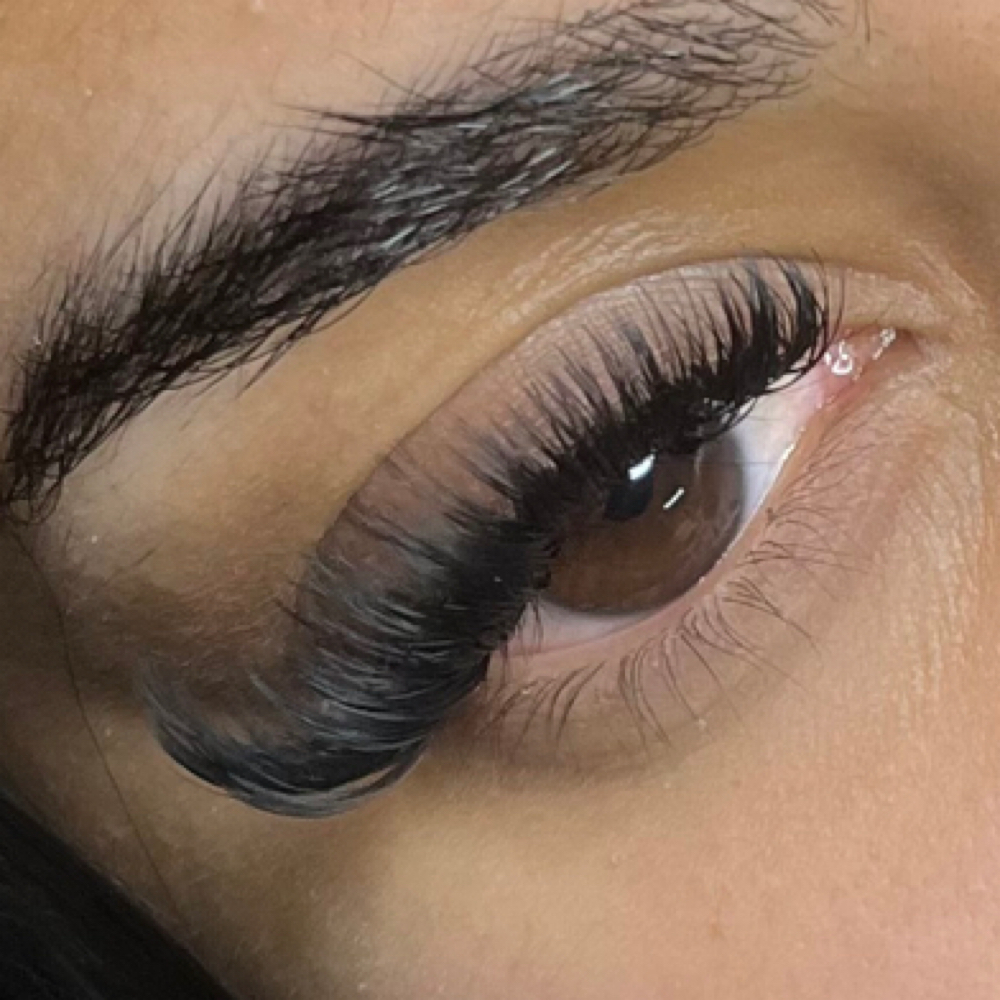 Full Volume 2 Week Fill at Lash Phase in Ormond Beach, FL