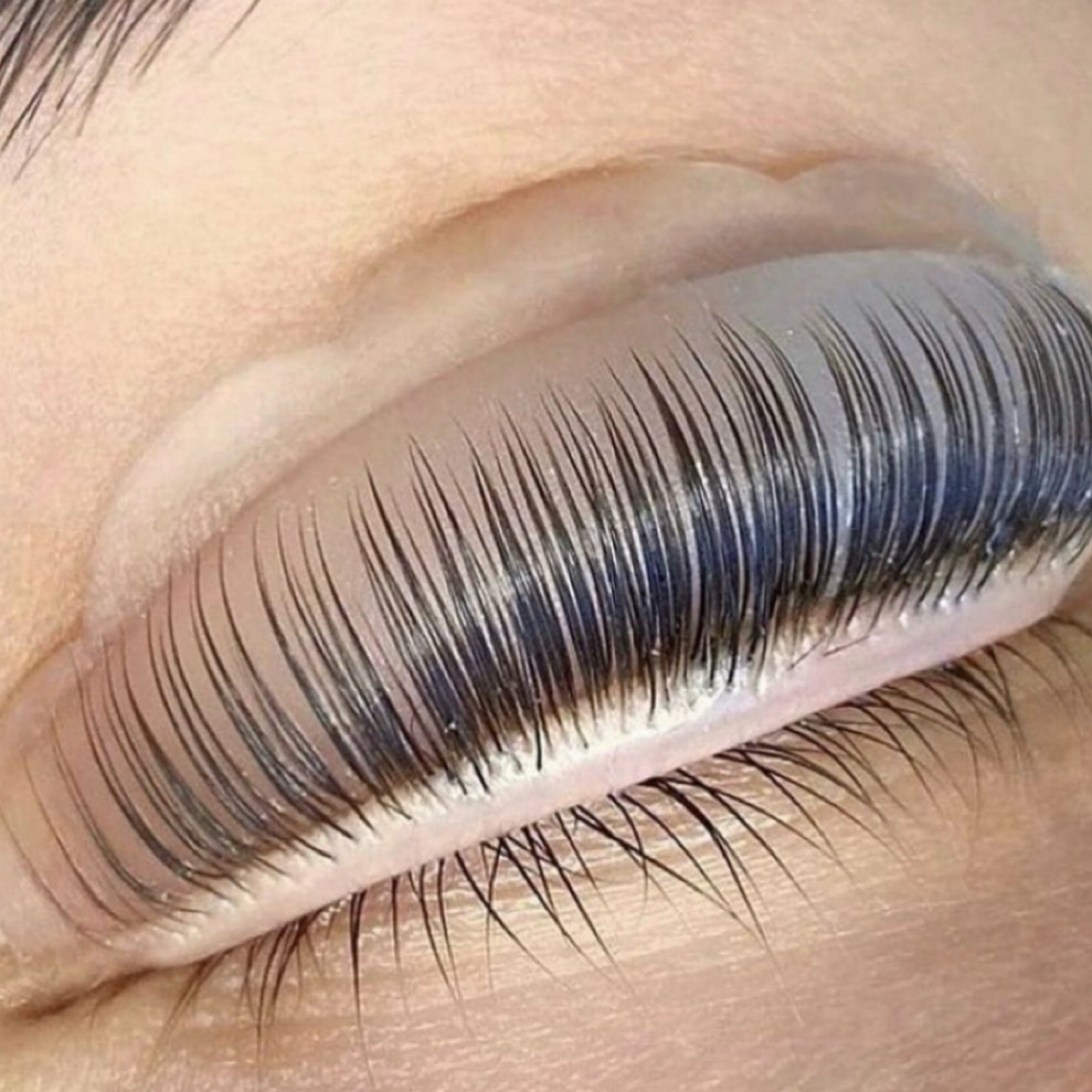 Lash Lift & Tint at Hidden Beauty Wax & Spa in Arlington, TX
