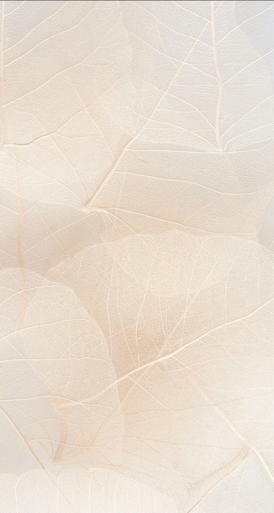 Whole Facial Waxing at TinaNailedd_it in GLEN BURNIE, MD